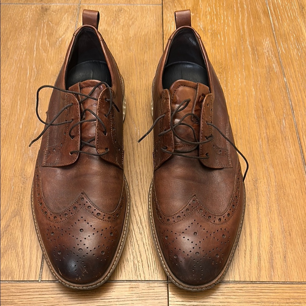 ECCO St.1 Wing Tip Hybrid